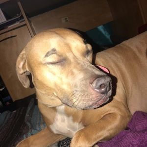 Meet your Posher, Ken